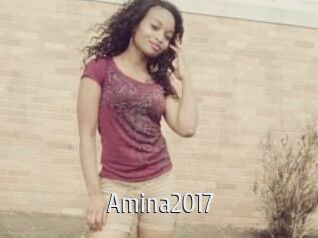 Amina2017