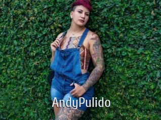 AndyPulido