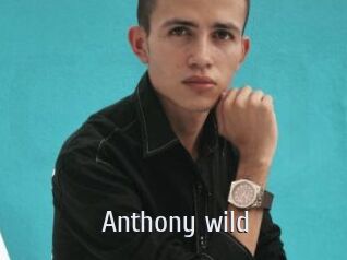 Anthony_wild