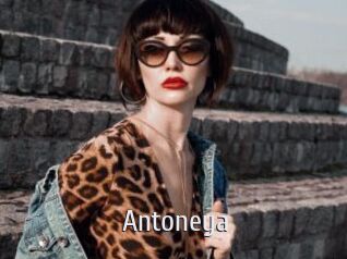 Antoneya Cigare à moustache