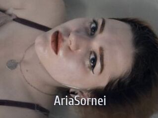 AriaSornei