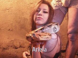 Ariela Cigare à moustache