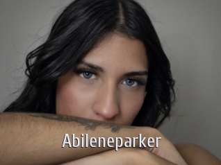 abileneparker Cigare à moustache