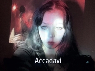 Accadavi