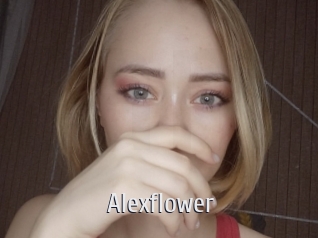 alexflower Cigare à moustache