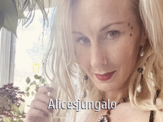 Alicesjungalo