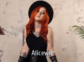 alicewin Cigare à moustache