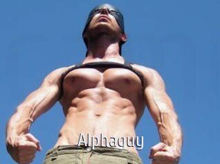 Alphaguy