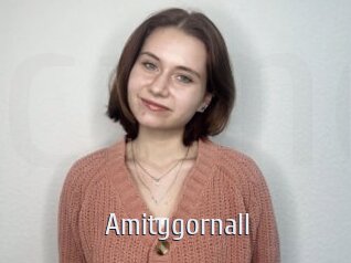 Amitygornall