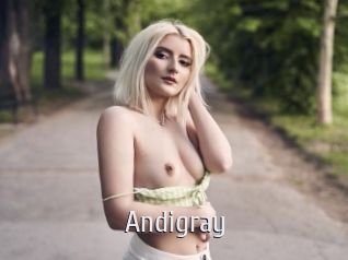 Andigray