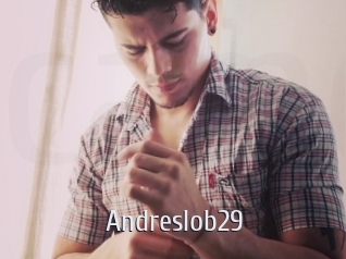 Andreslob29