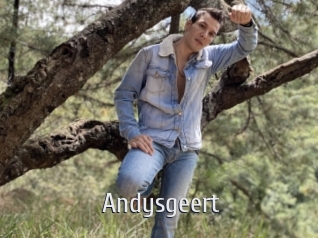 Andysgeert
