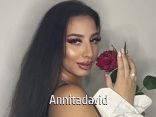 Annitadavid