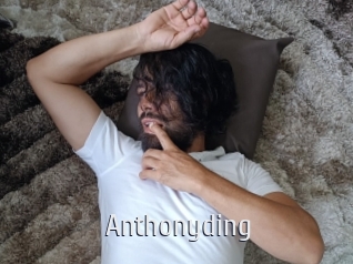 anthonyding Cigare à moustache