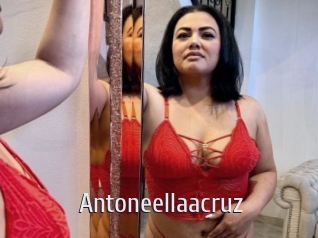 Antoneellaacruz