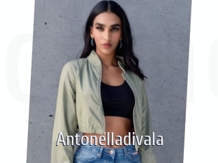 Antonelladivala