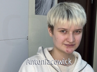 Antoniacowick