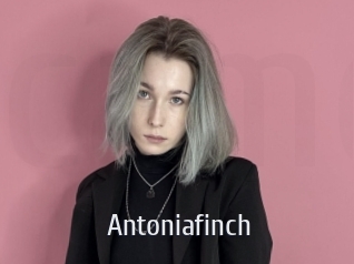 antoniafinch Cigare à moustache