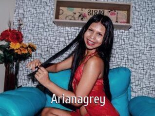 Arianagrey
