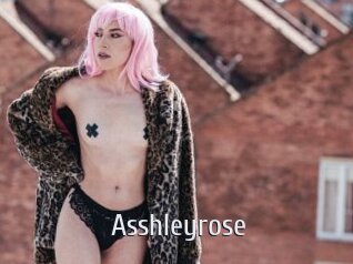 Asshleyrose