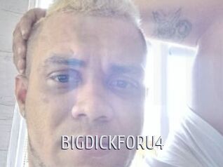 BIGDICKFORU4