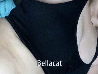 Bella_cat