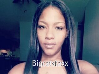 Bigcatstaxx