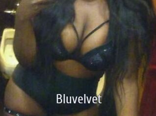 Bluvelvet
