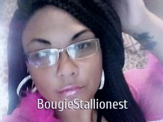BougieStallionest