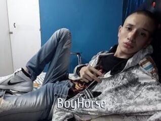 BoyHorse