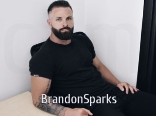 BrandonSparks Cigare à moustache