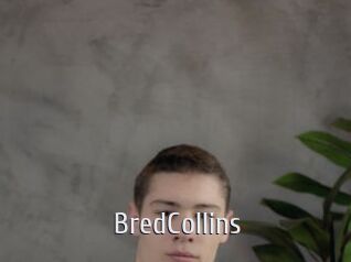 BredCollins Cigare à moustache