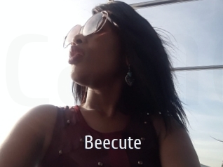 Beecute