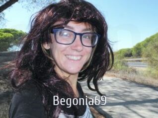 Begonia69