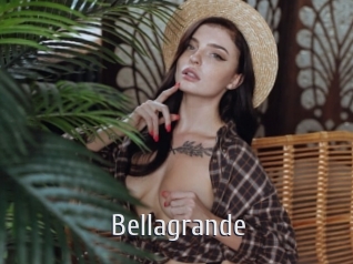 bellagrande Cigare à moustache
