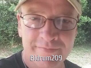 Bidrum209