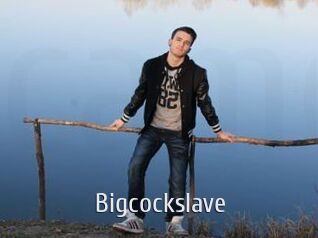 Bigcockslave