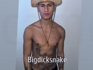 Bigdicksnake