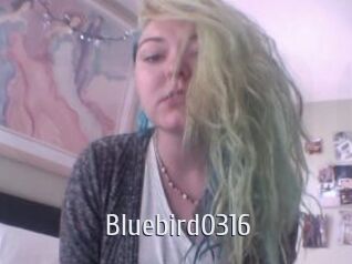 Bluebird0316