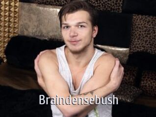Braindensebush