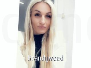 Brandyweed