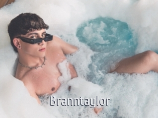 branntaylor Cigare à moustache