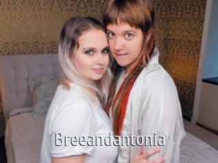 Breeandantonia