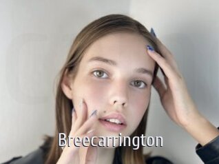 breecarrington Cigare à moustache