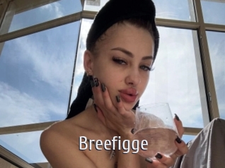 breefigge Cigare à moustache