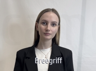Breegriff
