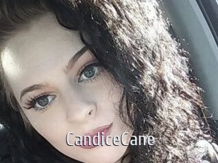 Candice_Cane Cigare à moustache