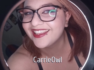 CarrieOwl Cigare à moustache