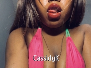 CassidyK Cigare à moustache