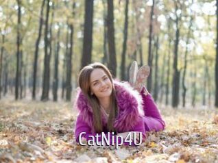 CatNip4U